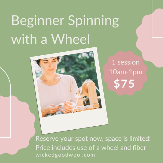 Beginner Spinning with a Wheel with Instructor Tammy Diener 7/13/26 10am