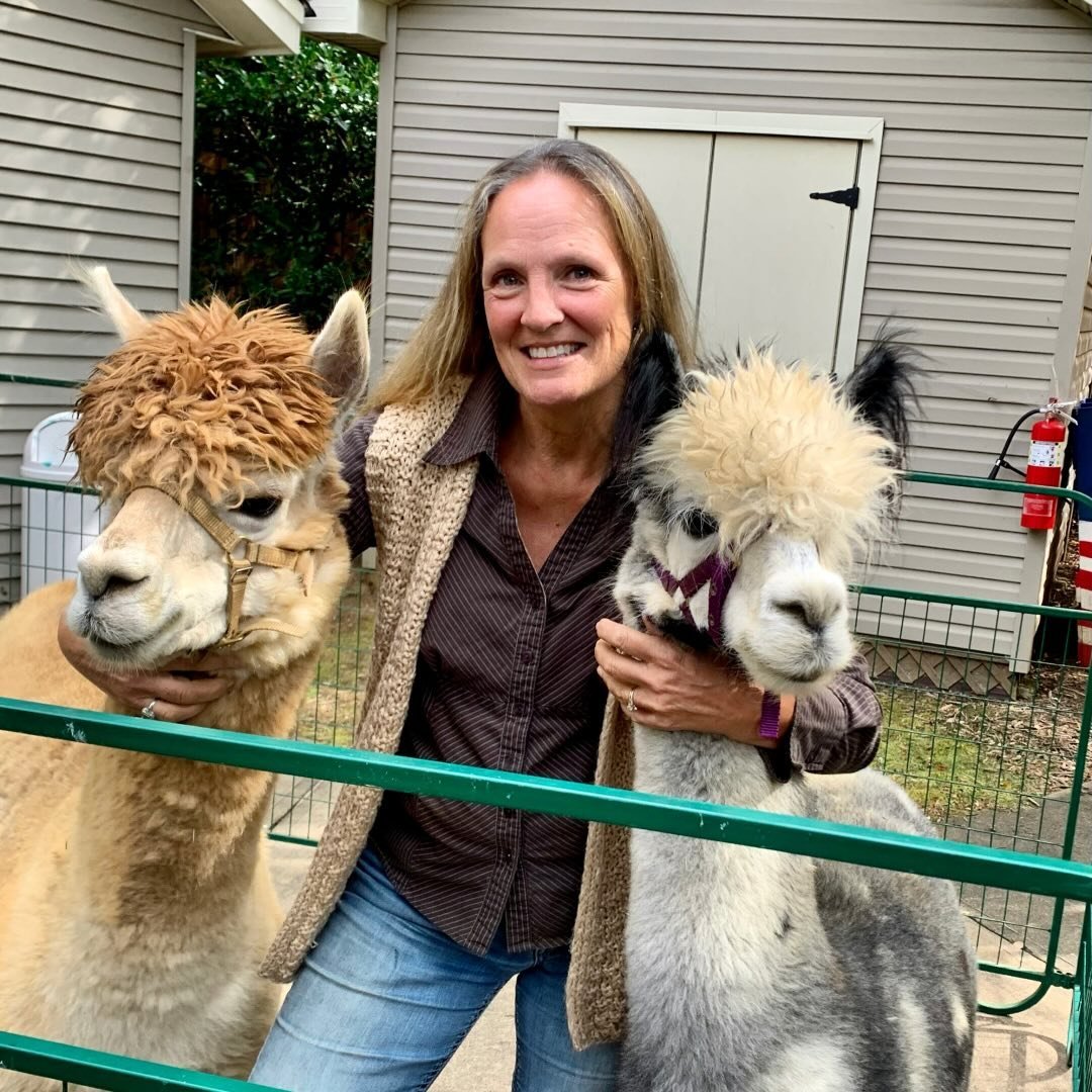 Alpaca Yarn by Rita Dee