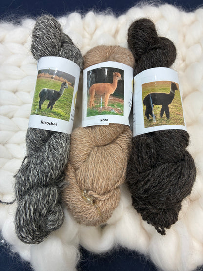 Alpaca Yarn by Rita Dee