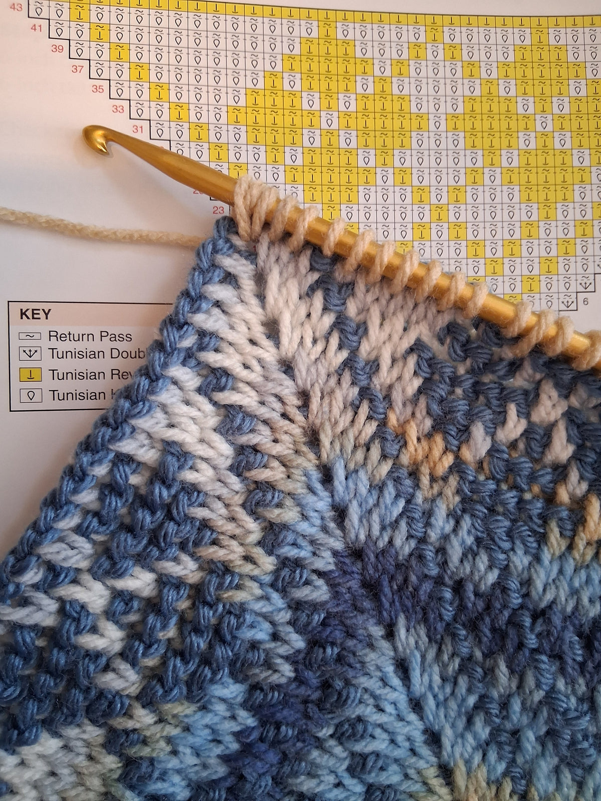 Learn Tunisian Crochet with Instructor Ilse Watkins 9/20/26 1pm-3pm