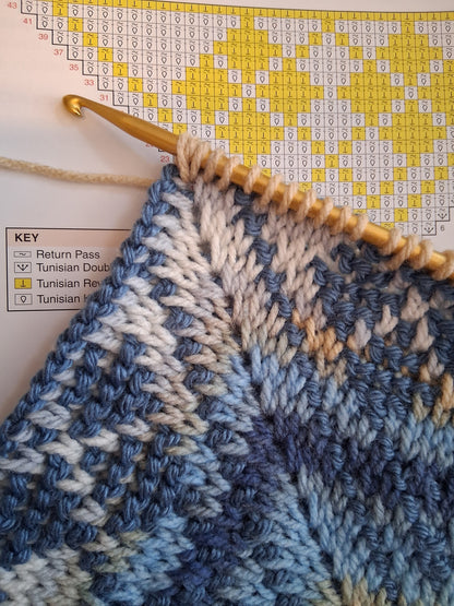 Learn Tunisian Crochet with Instructor Ilse Watkins 9/20/26 1pm-3pm