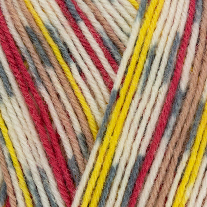 Signature 4 Ply