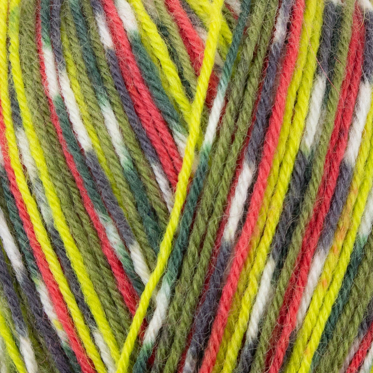 Signature 4 Ply