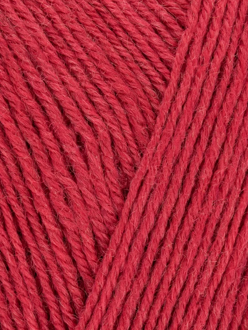 Signature 4 Ply