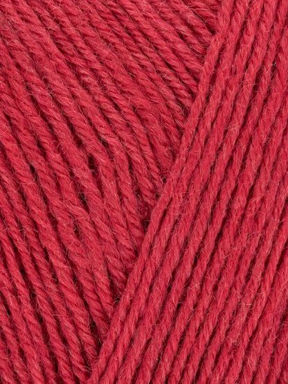 Signature 4 Ply